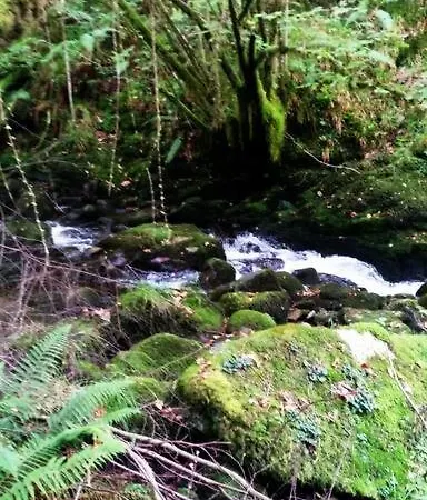 La Casa Rectoral De El Tozu